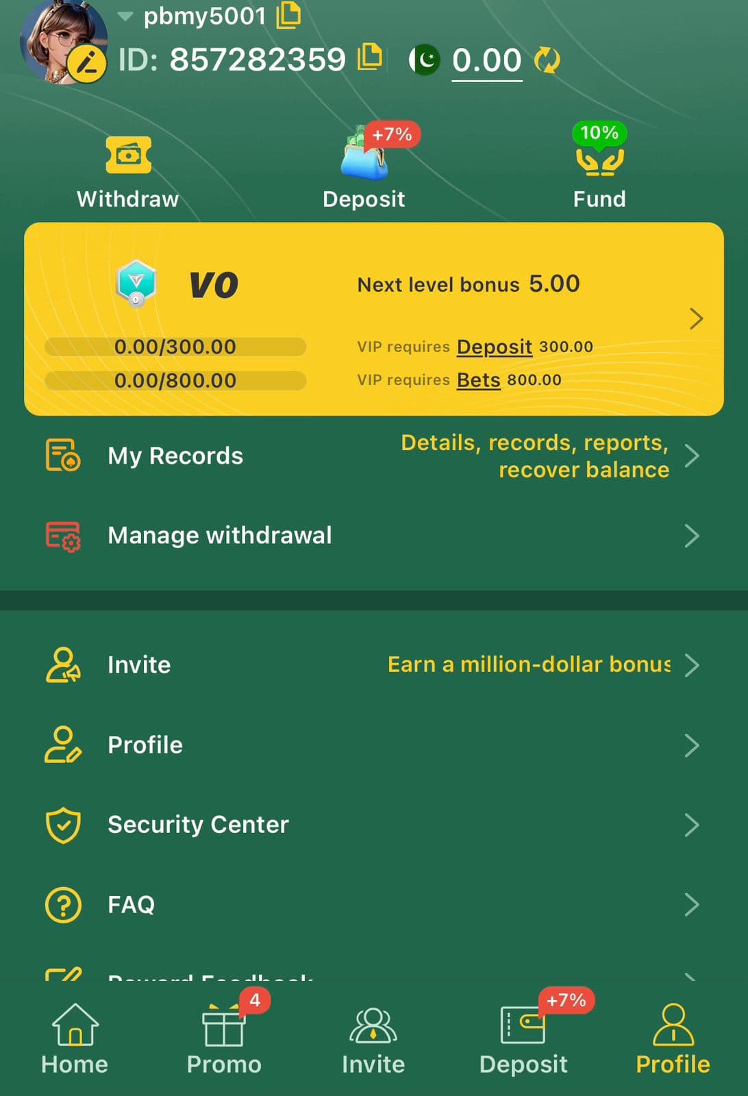 HZ333 wallet screen with Withdraw, Deposit, and Fund actions, and a VIP 0 progress bar tracking 0.00/300.00 deposit and 0.00/800.00 bets